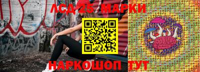 стаф Будённовск