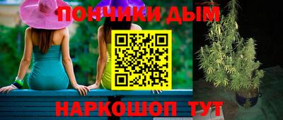 стаф Будённовск