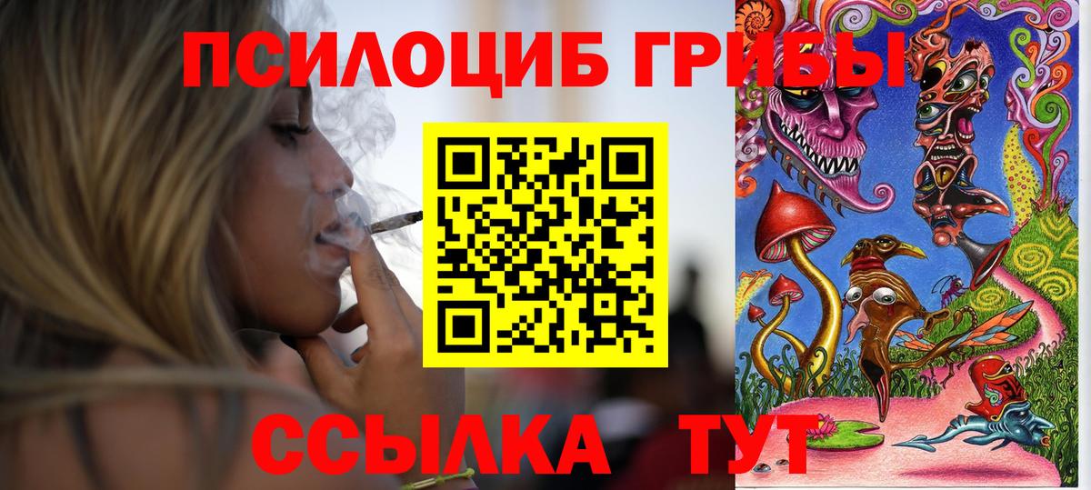 Псилоцибиновые грибы MAGIC MUSHROOMS  Вход с VPN  Москва 